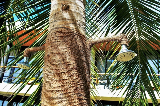 tropical shower photo